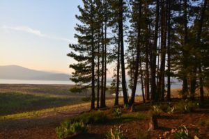 Airstream Rental Bay Area Lake Tahoe Destination Logger Campground
