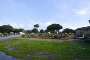 Campground for glamping at Costanoa