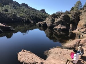 Airstream Rental to Pinnacles